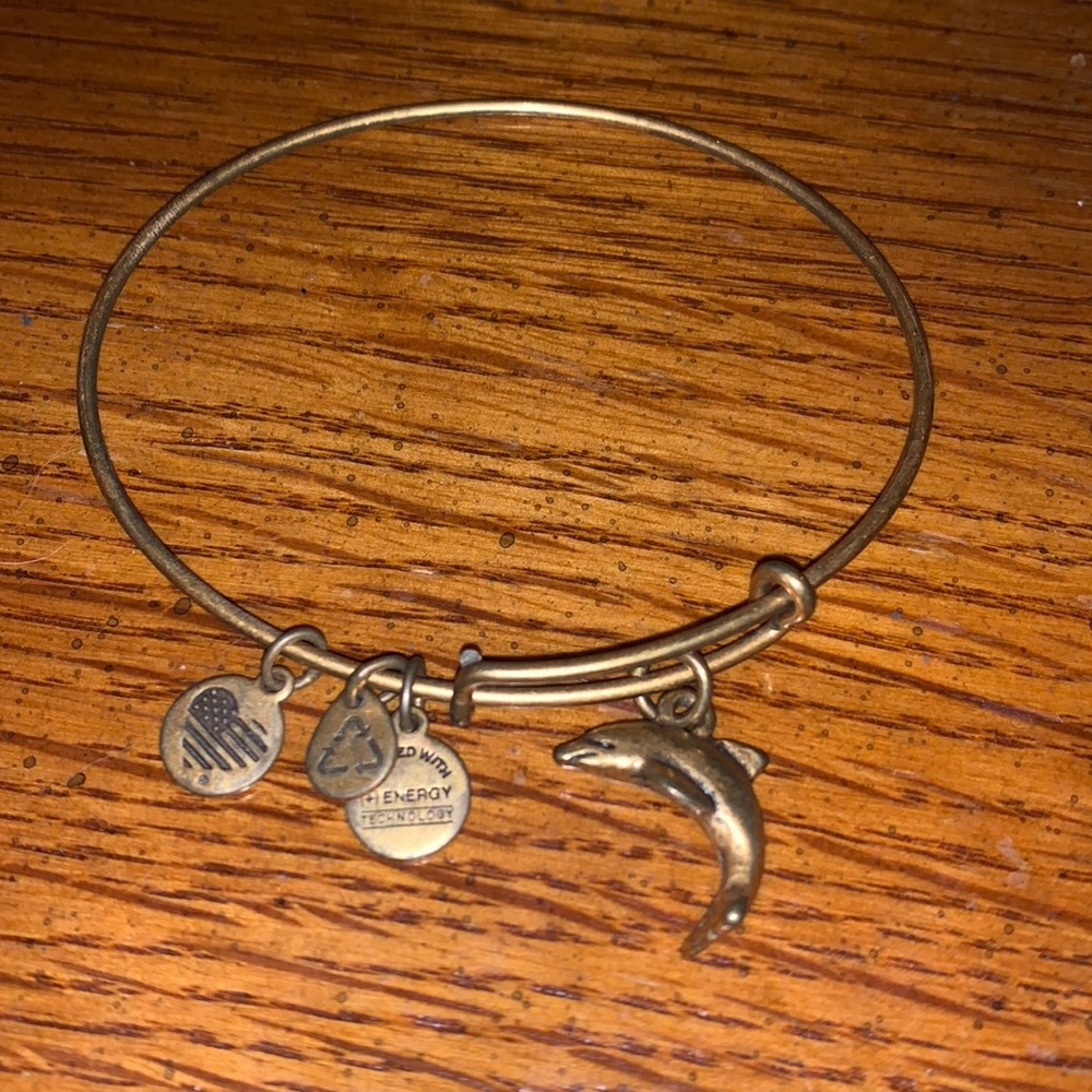 Alex and Ani Dolphin Charm Bracelet